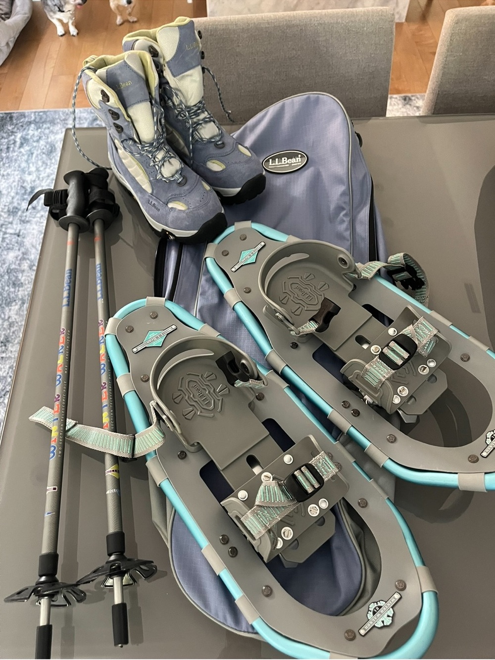 L.L. Bean women’s Blue Gray Snowshoes and Boots Set - Light Blue/Gray